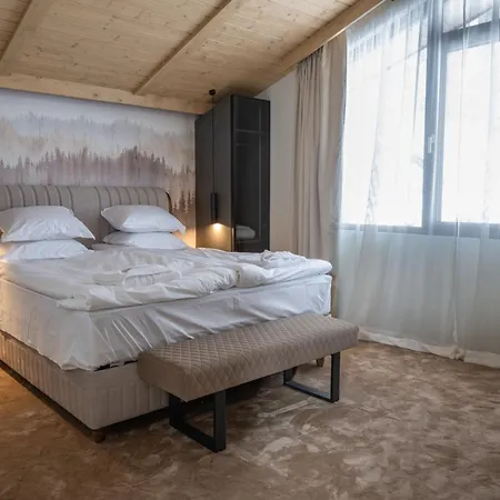 Chalet Pamporovo ヴィラ