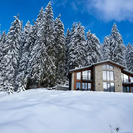 ヴィラ Chalet Pamporovo *