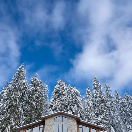 ヴィラ Chalet Pamporovo *