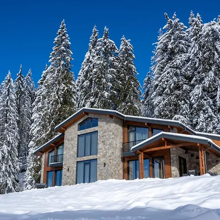 Chalet Pamporovo فيلة *