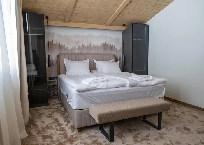 Chalet Pamporovo 别墅