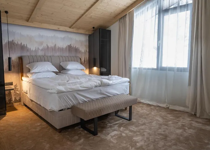 Chalet Pamporovo 别墅