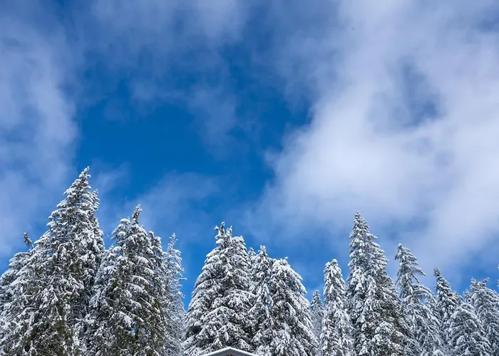 Chalet Pamporovo 别墅 潘波洛沃