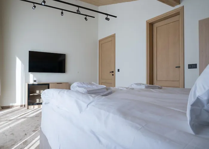 Chalet Pamporovo 潘波洛沃