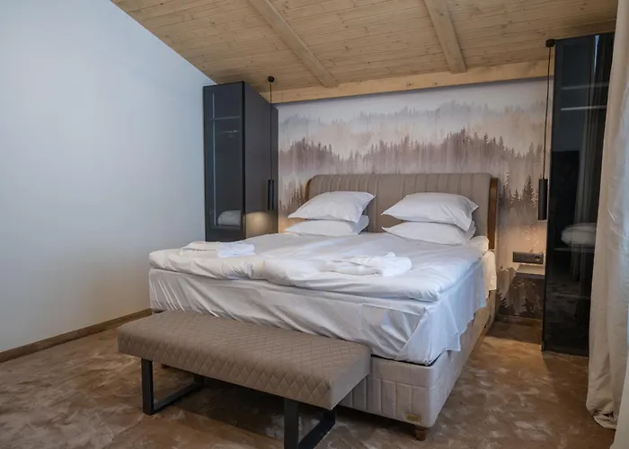 Chalet Pamporovo 别墅