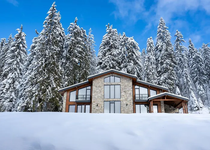 Chalet Pamporovo * 潘波洛沃