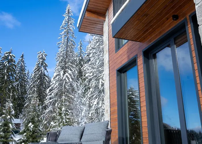 别墅 Chalet Pamporovo 潘波洛沃