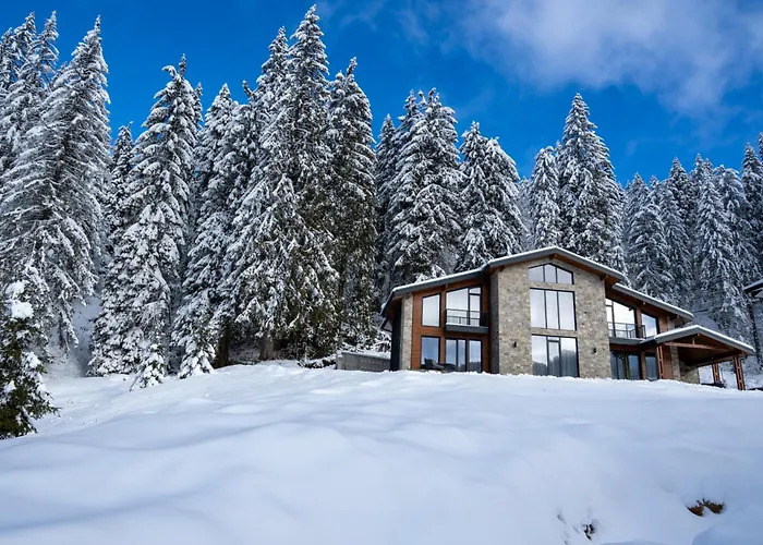 别墅 Chalet Pamporovo *