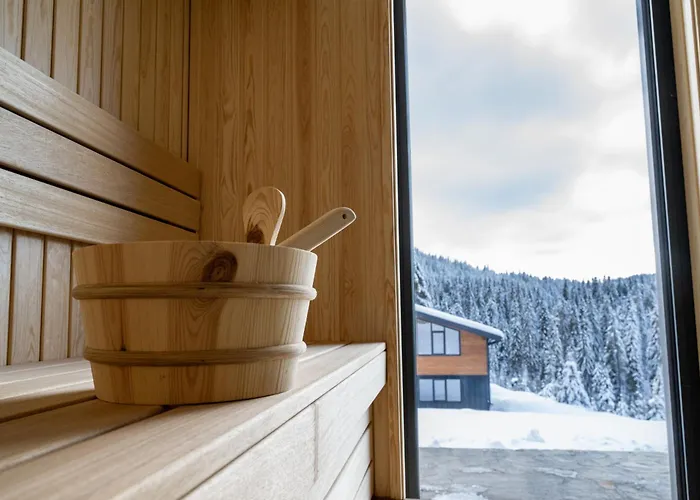 Chalet Pamporovo 别墅 *