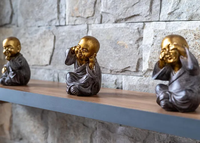 Chalet Pamporovo 别墅