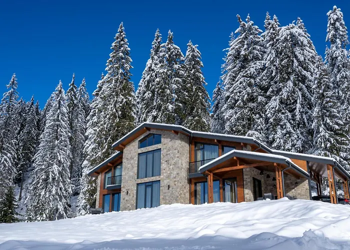 Chalet Pamporovo 别墅 *